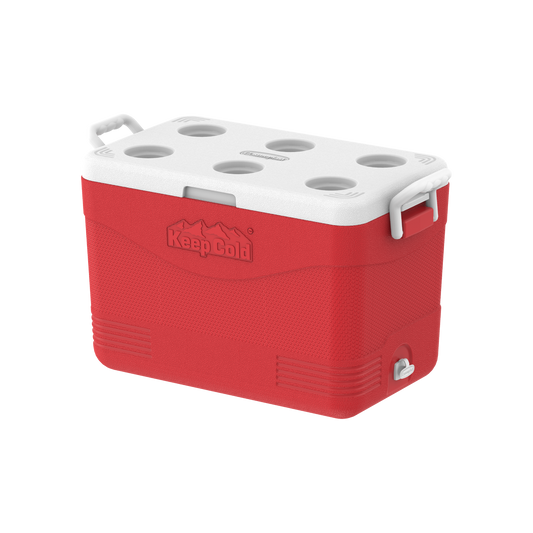 46L KeepCold Picnic Icebox